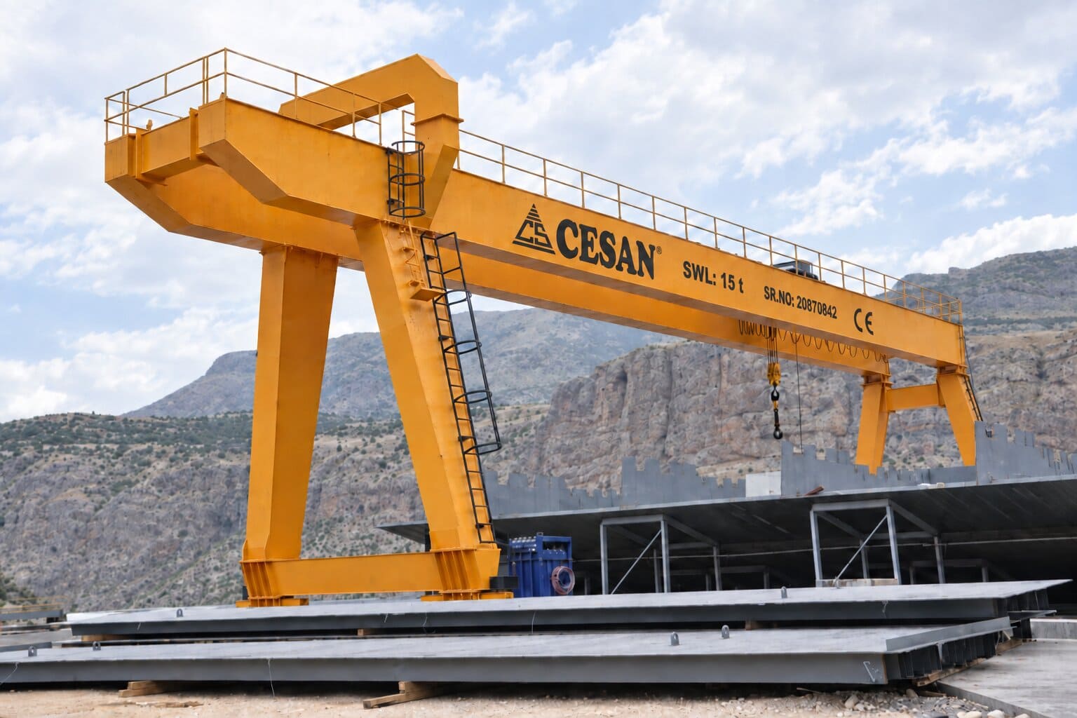 Cesan custom industrial gantry crane system