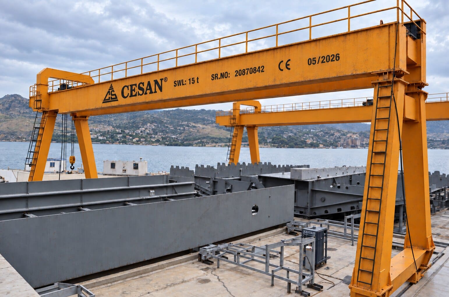 Cesan special industrial gantry crane project